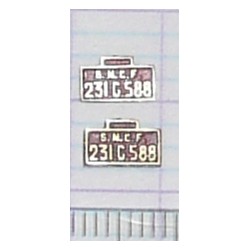 LBT-231-G-588 - Lot de 2 plaques 231 G 588 peintes en laiton