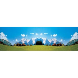 FALLER Flocage BRUN FONCE - 170704