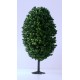 1 Arbre Feuillu 9 cm Foncé - Decors - LBT_AB01 - HO