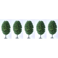 Lot de 5 Arbres Feuillus 9 cm Foncé - Decors - LBT_AB05 - HO