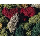FALLER Set de Lichen 5 coloris - 170730