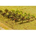 FALLER 181253 - Lot de 12 arbres fruitiers 30mm - HO 1/87