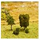 FALLER 181329 - Lot 5 deciduous trees 30-70 mm height- N + Z