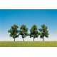 FALLER 181402 - Conjunto de 4 árboles de hojas de 60 mm HO-N + Z