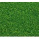 FALLER 170702 - LIGHT GREEN Flocking for models and dioramas - HO