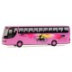 RIETZE 90900 - Autobus SETRA S315 HDH CAPRICORN miniature - HO 1/87