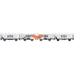 LS-models LS30395 - Conjunto de 4 vagones ocem refrigerado blanco "STEF" SNCF - HO