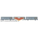 LS-models LSM-30653 - Set de 3 vagones EVS "Peugeot" - SNCF - HO