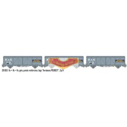 LS-models LSM-30653 - Set de 3 vagones EVS "Peugeot" - SNCF - HO