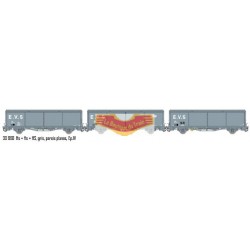 LS-models LSM-30660 - Set de 3 vagones EVS "EVS" - SNCF - HO
