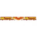 LS MODELS LSM-30661 Set de 2 vagones EVS CHAMPIGNEULES ep 4 - SNCF - HO