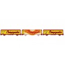 LS models LSM-30661 Set of 2 wagons EVS CHAMPIGNEULES ep 4 - SNCF - HO