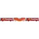 LS MODELS LSM-30657 Set de 2 vagones EVS KRONENBOURG ep 4-5 - SNCF - HO