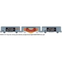 LS MODELS LSM-30655 Set de 2 vagones EVS VALLIER-VICHER ep 3 - SNCF - HO